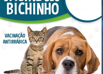 Calendário de Vacinação de seu Pet.